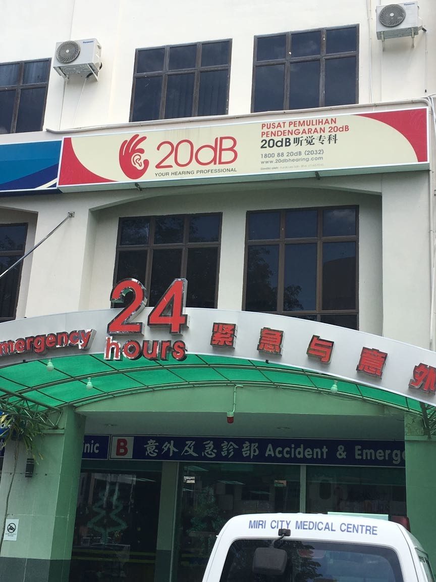 20dB Hearing Miri 1 20db hearing miri