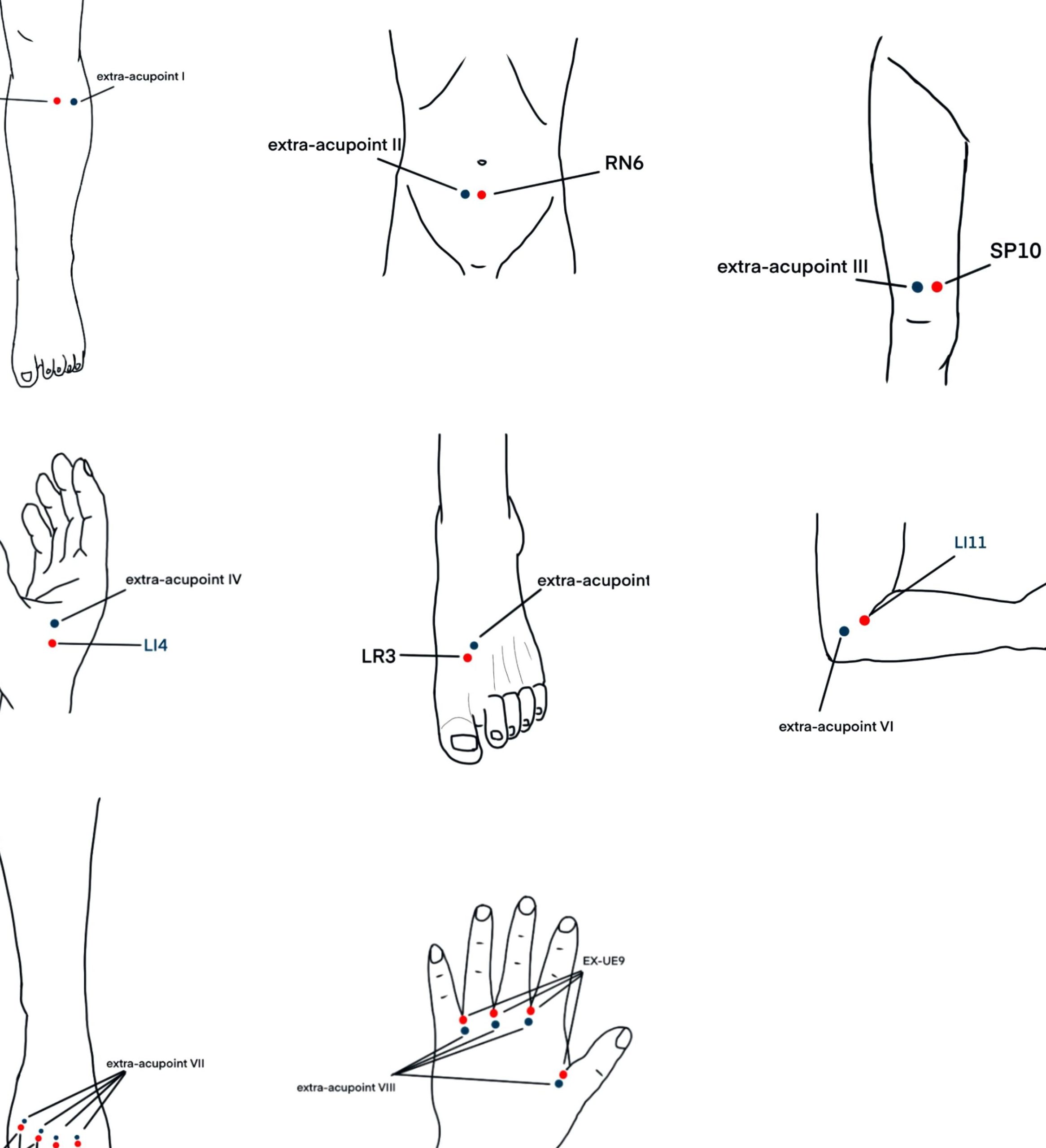 cheng de tcm ent scaled