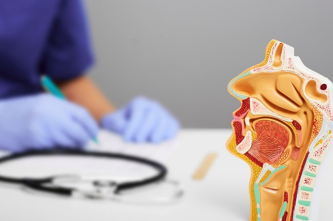 ear nose throat ent specialist clinic