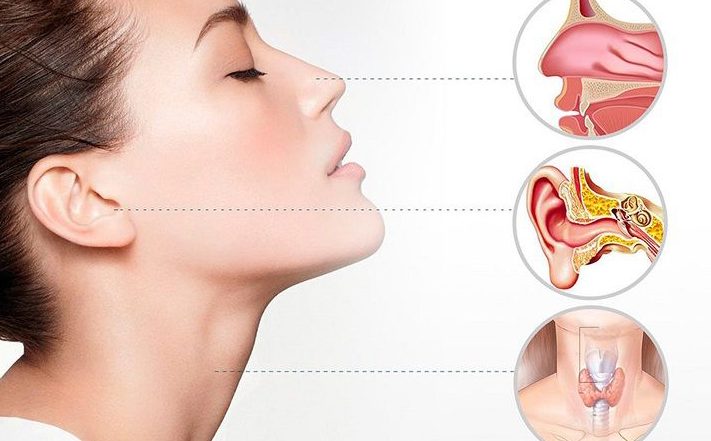 Ear, Nose Throat & Neck Surgery 1 ear nose throat neck surgery