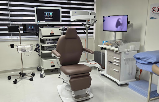 Dr Lim Sin Wee ENT Clinic Seremban (Pakar Telinga, Hidung & Tekak) 林医生 耳鼻喉专科