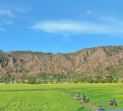 Dr Fauziah ENT (Ear, Nose and Throat)