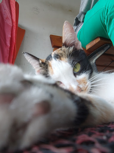 Klinik Wawasan Perdana