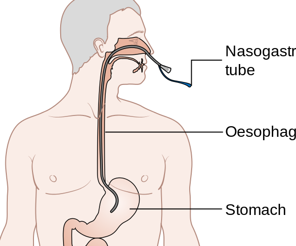 Medical Ng 1 medical ng
