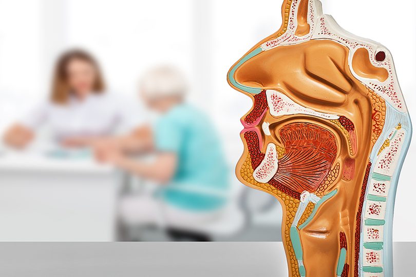 Otorhinolaryngology (Ear, Nose, Throat) 1 otorhinolaryngology ear nose throat